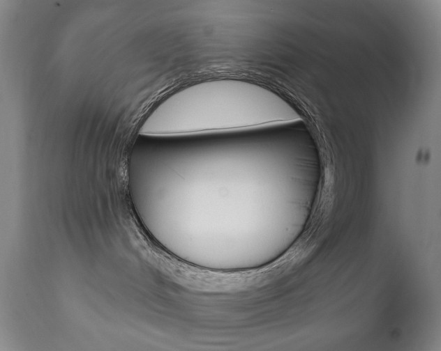 X0000111380048200907100947