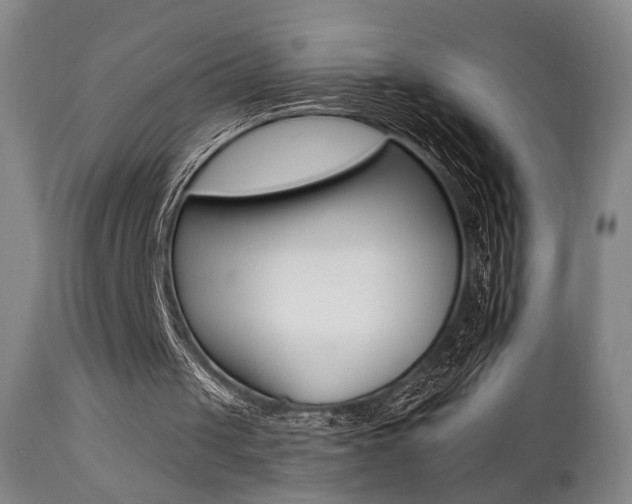 X0000111380049200907100947