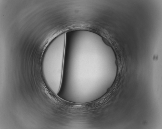 X0000111380050200907100947