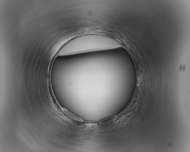 X0000111380052200907100947