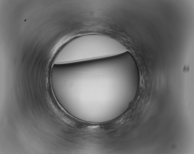 X0000111380054200907100947