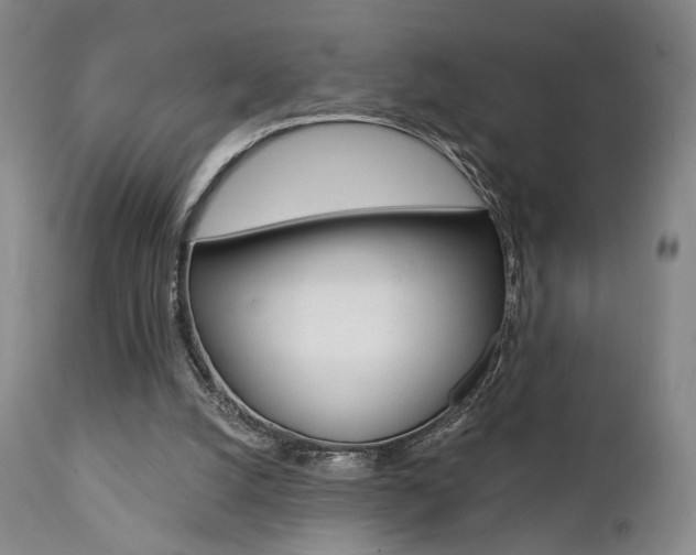 X0000111380056200907100947