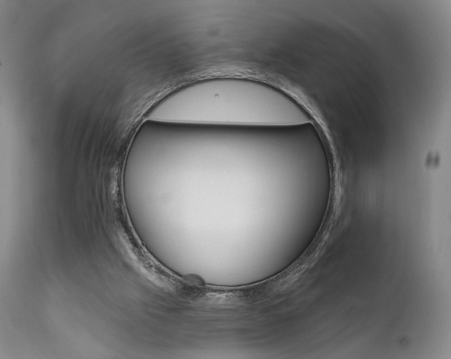 X0000111380057200907100947