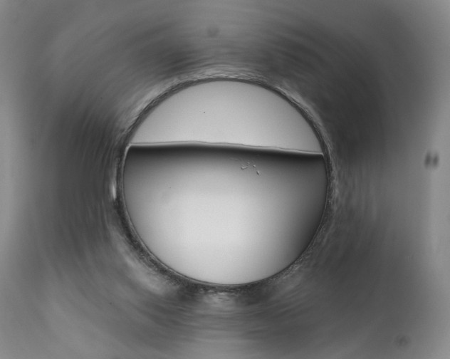 X0000111380062200907100947