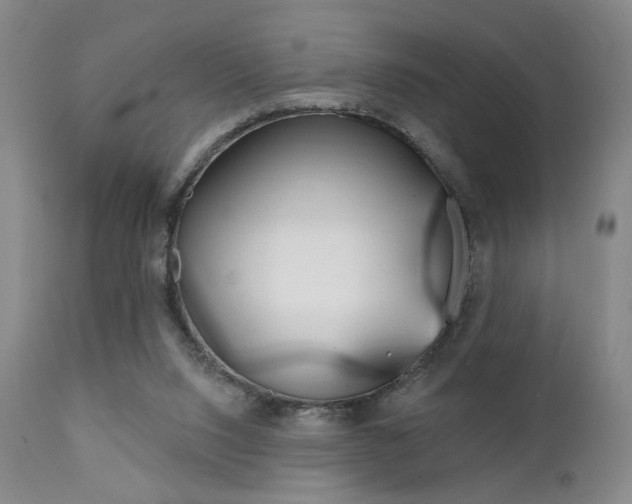 X0000111380064200907100947