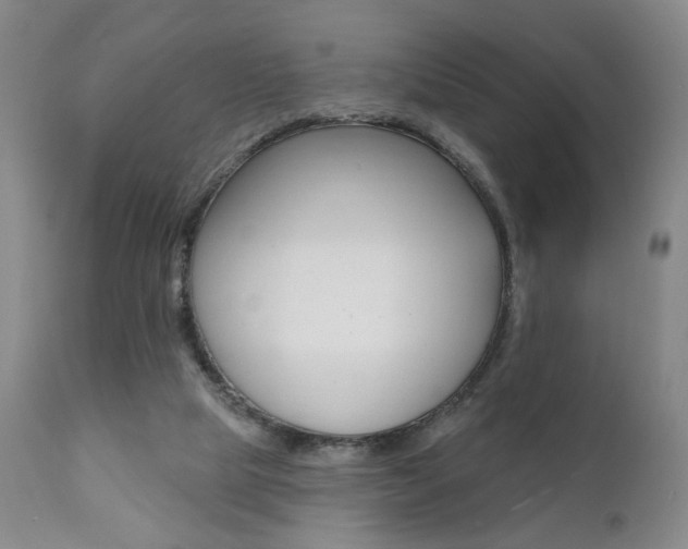 X0000111380065200907100947