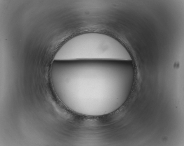 X0000111380066200907100947
