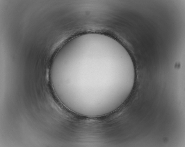 X0000111380067200907100947