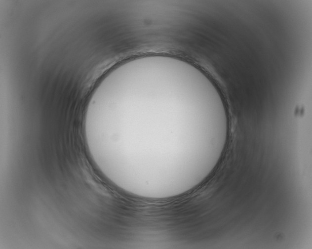 X0000111380068200907100947