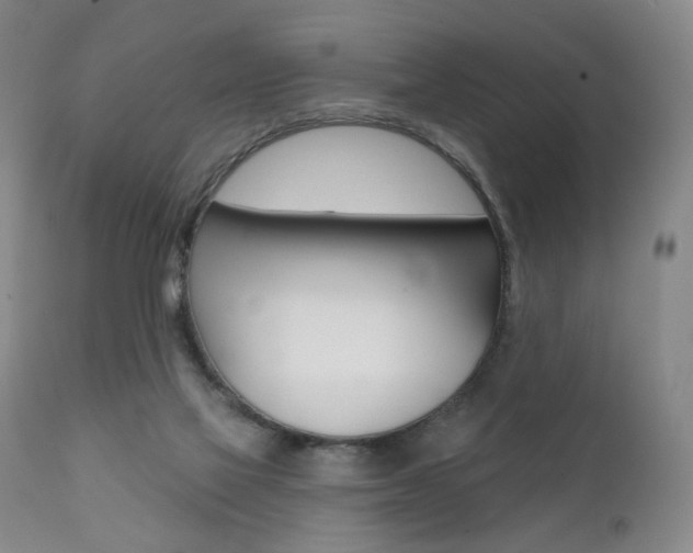 X0000111380069200907100947