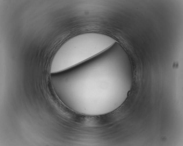 X0000111380070200907100947