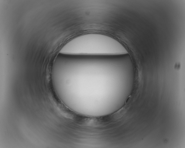 X0000111380074200907100947