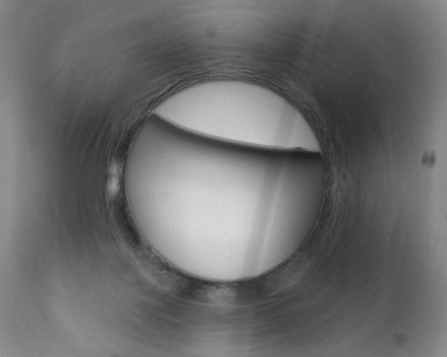 X0000111380075200907100947