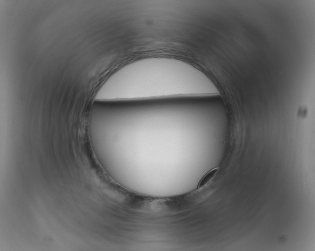 X0000111380078200907100947