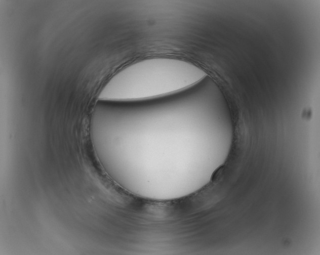 X0000111380079200907100947