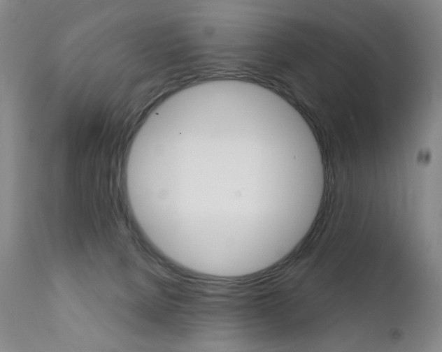 X0000111380080200907100947