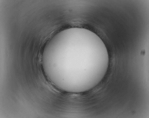 X0000111380081200907100947