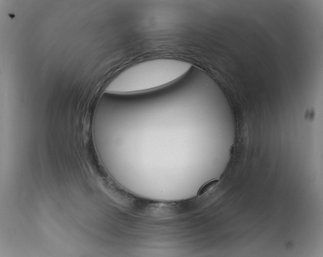 X0000111380082200907100947