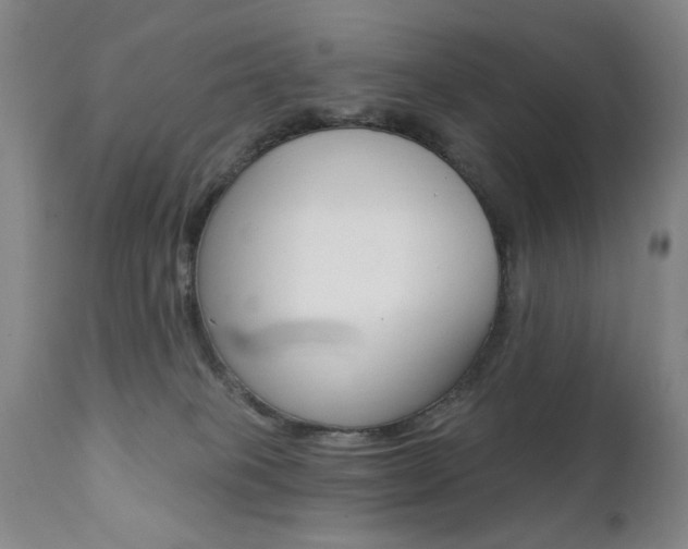 X0000111380085200907100947