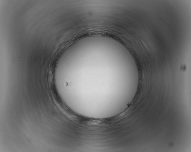 X0000111380086200907100947