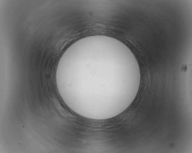 X0000111380088200907100947