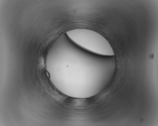 X0000111380089200907100947