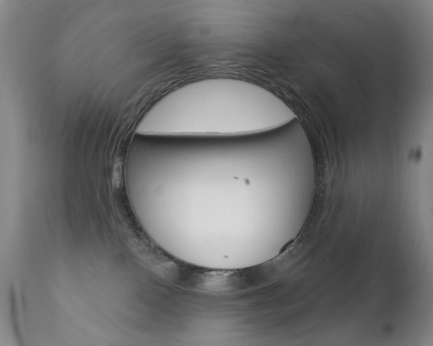 X0000111380090200907100947