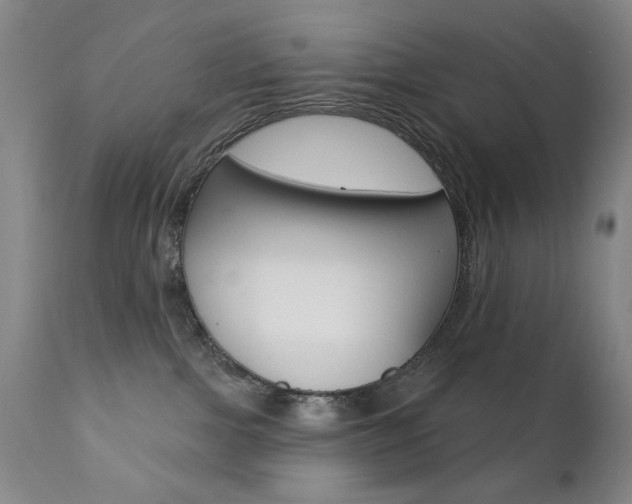 X0000111380091200907100947