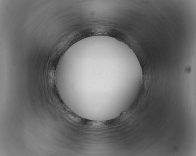 X0000111380093200907100947