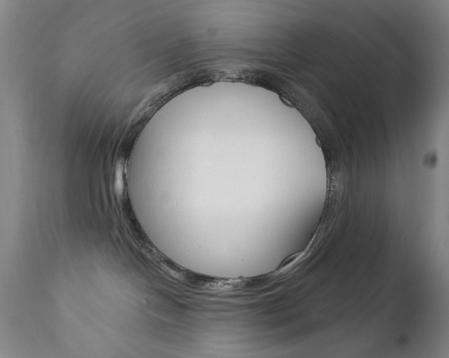 X0000111380094200907100947