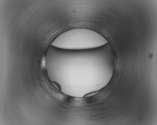 X0000111380095200907100947