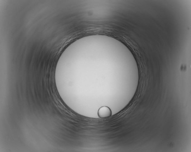 X0000111380096200907100947