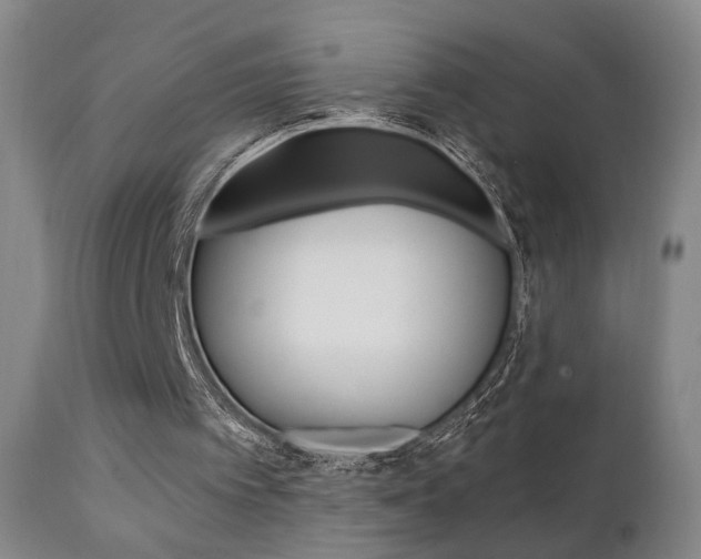 X0000111380097200907100947