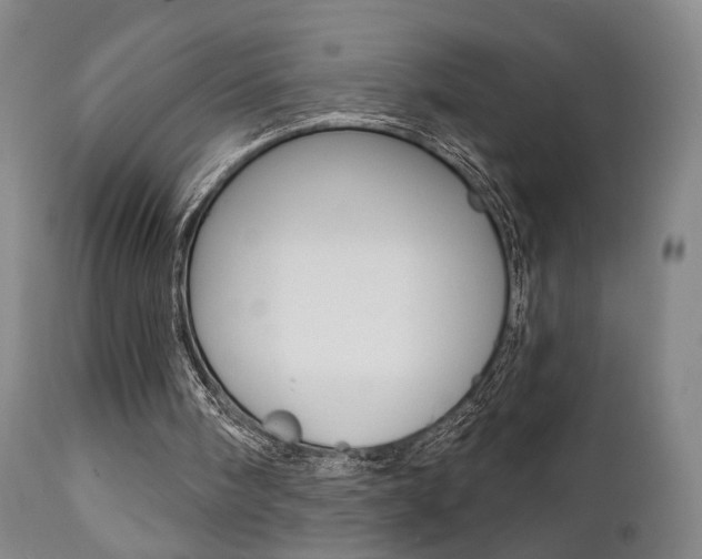 X0000111380098200907100947