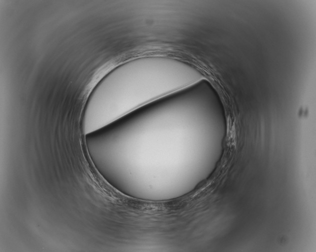 X0000111380099200907100947