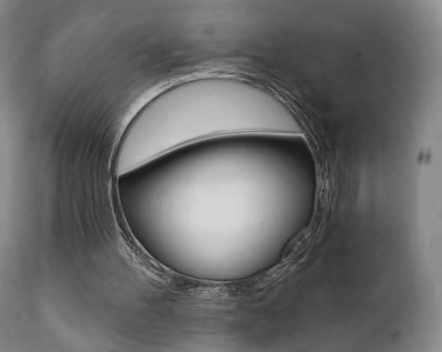 X0000111380100200907100947
