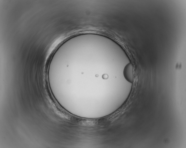 X0000111380102200907100947
