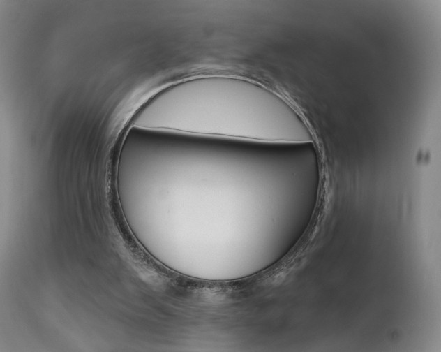 X0000111380103200907100947