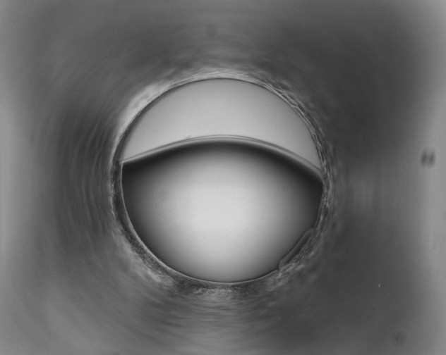 X0000111380104200907100946
