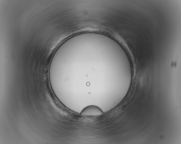 X0000111380106200907100946