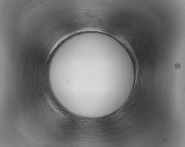 X0000111380108200907100946
