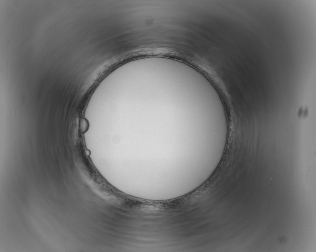 X0000111380110200907100946