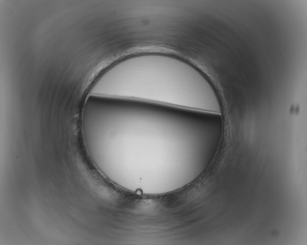 X0000111380111200907100946