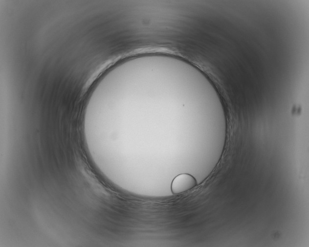 X0000111380112200907100946