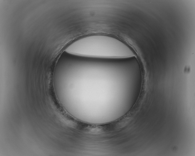 X0000111380113200907100946