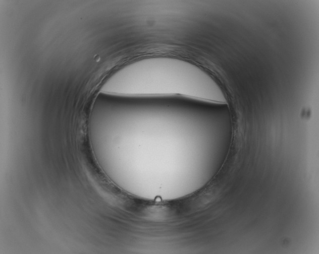 X0000111380119200907100946