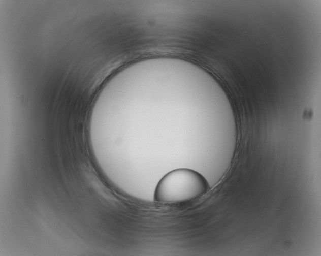 X0000111380120200907100946