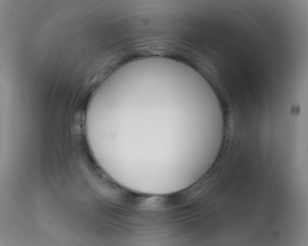 X0000111380122200907100946