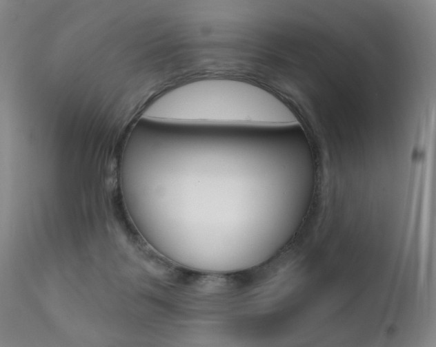 X0000111380123200907100946