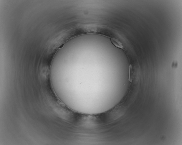 X0000111380125200907100946